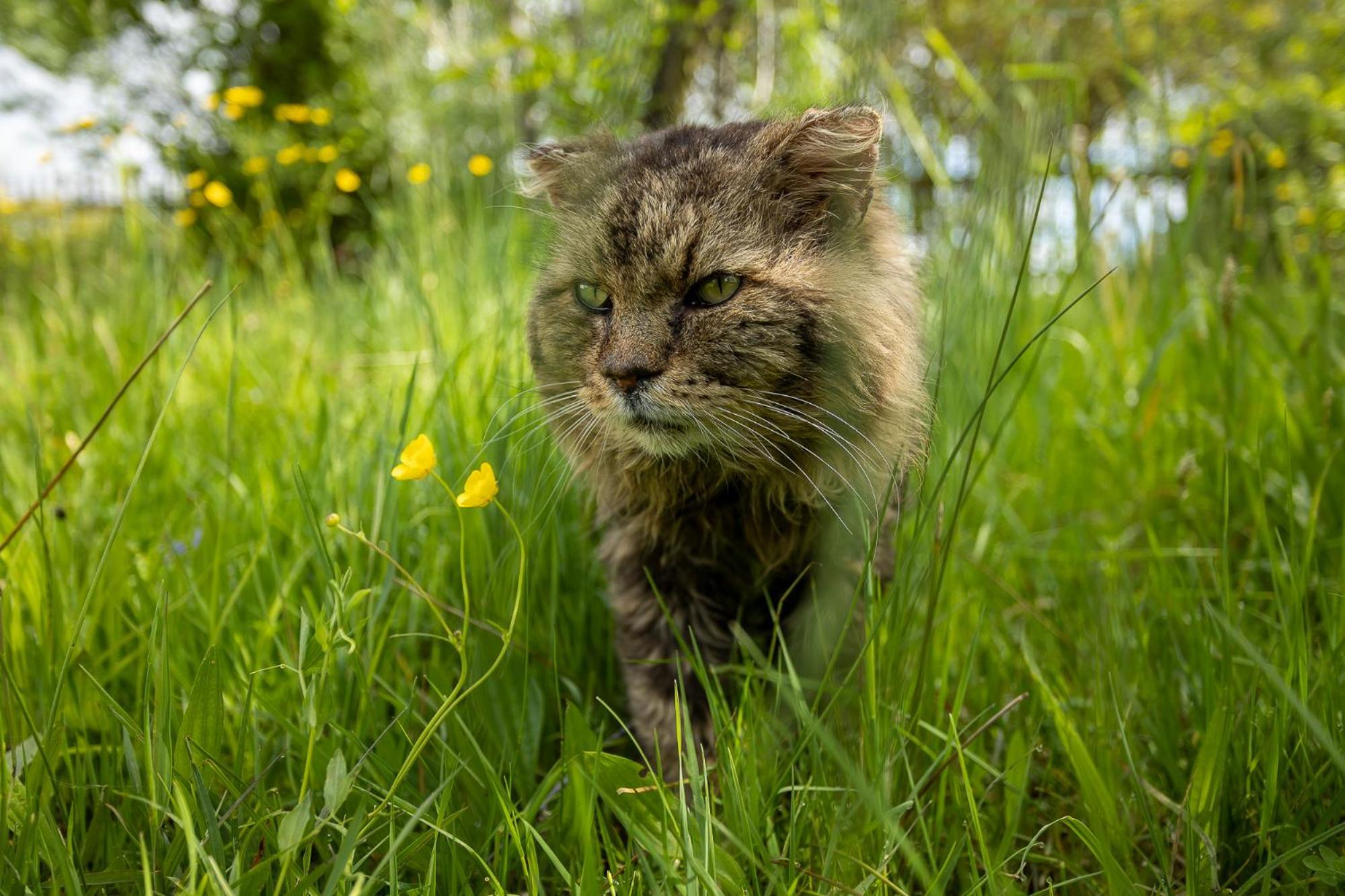 Paradise Cottage - Chalupa V Raji Ctverin Dış mekan fotoğraf